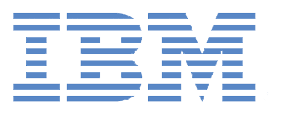  IBM